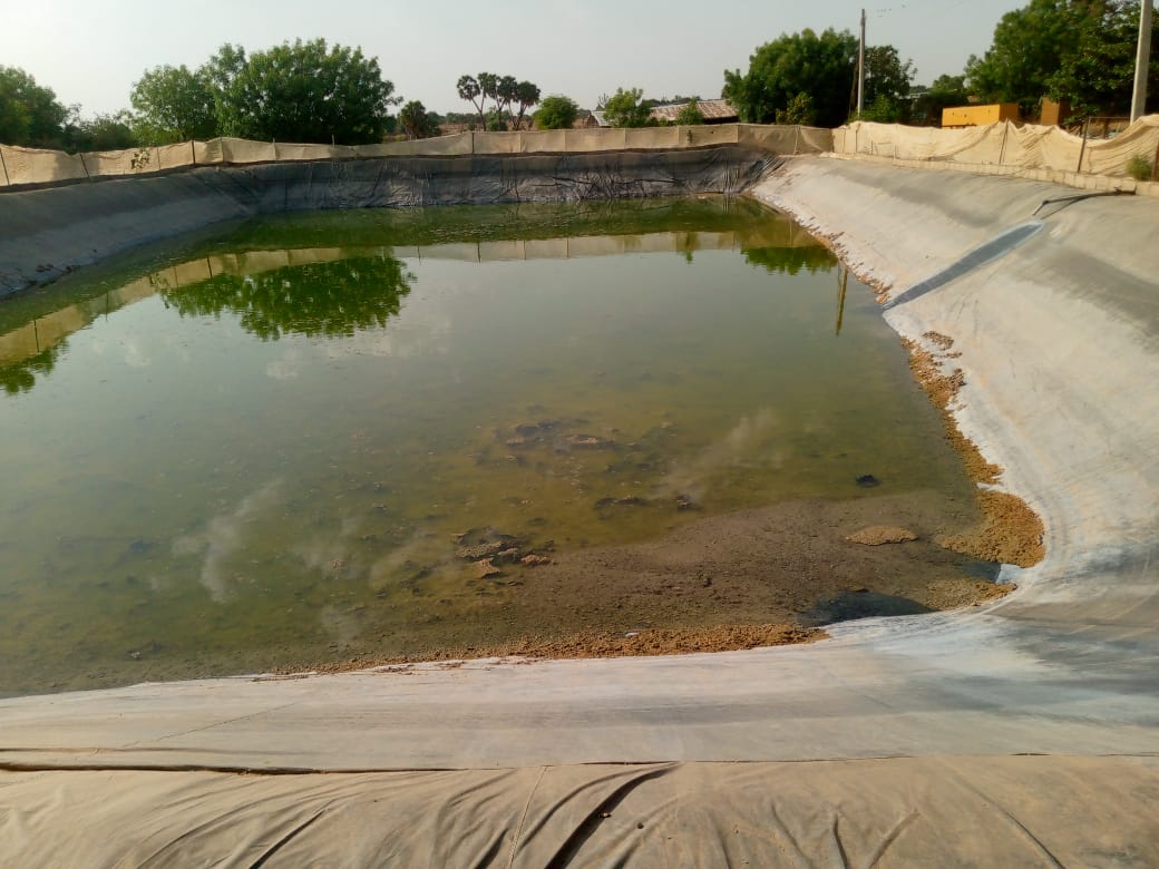 Fish Pond at BUK